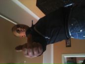 Іван Сарай фотография #24 (источник - https://vk.com/id63418164)