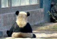 Фотография Lesovskaya Irina