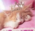 Фотография Хватовой Юлии