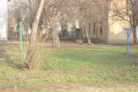 Оля Сенкова фотография #30 (источник - https://vk.com/id1644484)