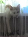 Фотография Клементьевой Екатерины