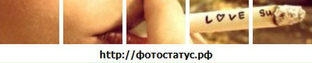 Шунічка Емочка фотография #49 (источник - https://vk.com/id16277177)