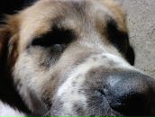 Фотография Щеблова Николая