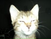 Фотография Имашева Руслана