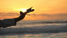 Фотография Brylev Alexey