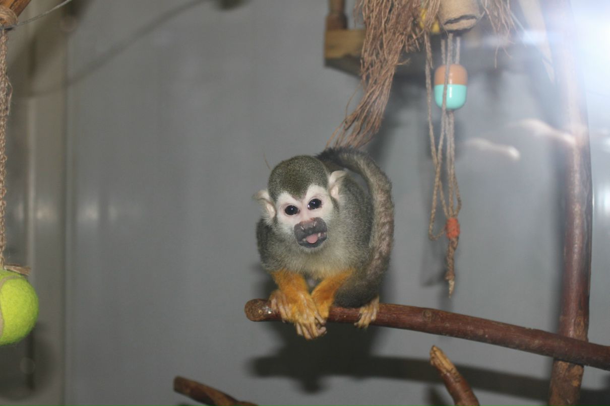 Николай Ткаченко фотография #23