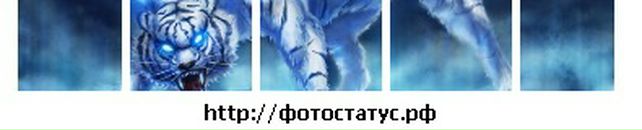 Діма Моргоч фотография #10 (источник - https://vk.com/id28623090)