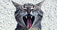 Фотография Кошелева Игоря