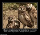 Дмитрий Бондарь фотография #48 (источник - https://vk.com/id2666436)