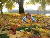 Фотография Ноговициной Алены