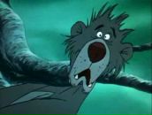 Фотография Кузнецова Мита