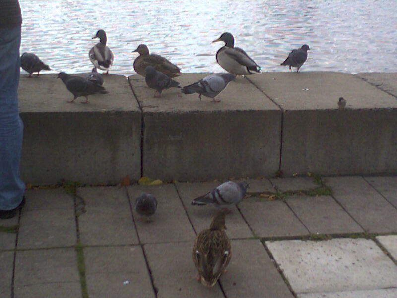 Анечка Пальчик фотография #15