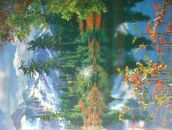 Христусік Цебрій фотография #50 (источник - https://vk.com/id86092244)