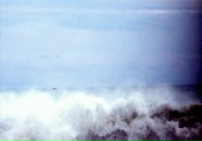 Ната Бышовец фотография #36 (источник - https://vk.com/id929500)