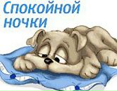 Віталій Панасюк фотография #18 (источник - https://vk.com/id89013048)