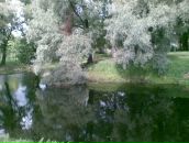 Фотография Сипягиной Дины