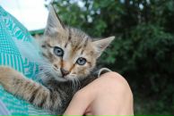 За Ри фотография #37 (источник - https://vk.com/id2645458)