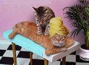 Бодя Вітик фотография #5 (источник - https://vk.com/id160635211)