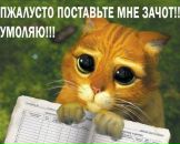 Фотография Никитин Дмитрий