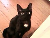 Фотография Староверовой Елены