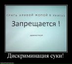 Софья Раппа фотография #11 (источник - https://vk.com/id3152804)