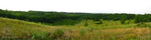 Антон Мищенко фотография #4 (источник - https://vk.com/id21482463)