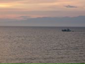 Дмитрий Таиров фотография #19 (источник - https://vk.com/id6359962)