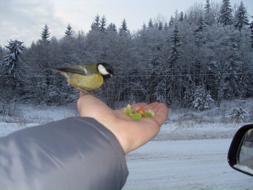 Slavik Udalov фотография #23