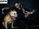 Tayson Pitbul=jermani фотография #22 (источник - https://vk.com/id70604395)