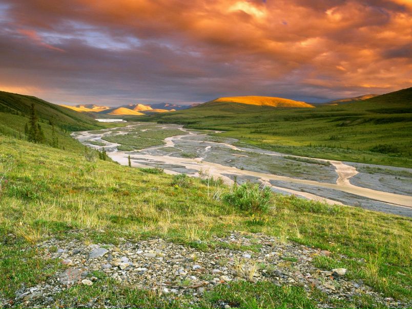 Рап Мпв фото №1