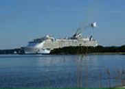 Фотография Герасова Дмитрия