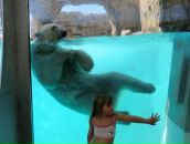 Фотография Франзена Павла