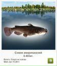 Діма Погребний фотография #43 (источник - https://vk.com/id136257164)