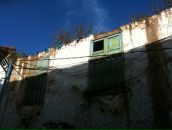 Алёна Панкина фотография #5 (источник - https://vk.com/id520903)