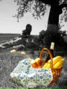 Ксенія Лисиця фотография #3 (источник - https://vk.com/id57850554)