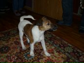 Анна Лобанова фотография #18 (источник - https://vk.com/id907112)