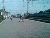 Дмитрий Высоцкий фотография #17 (источник - https://vk.com/id5957737)