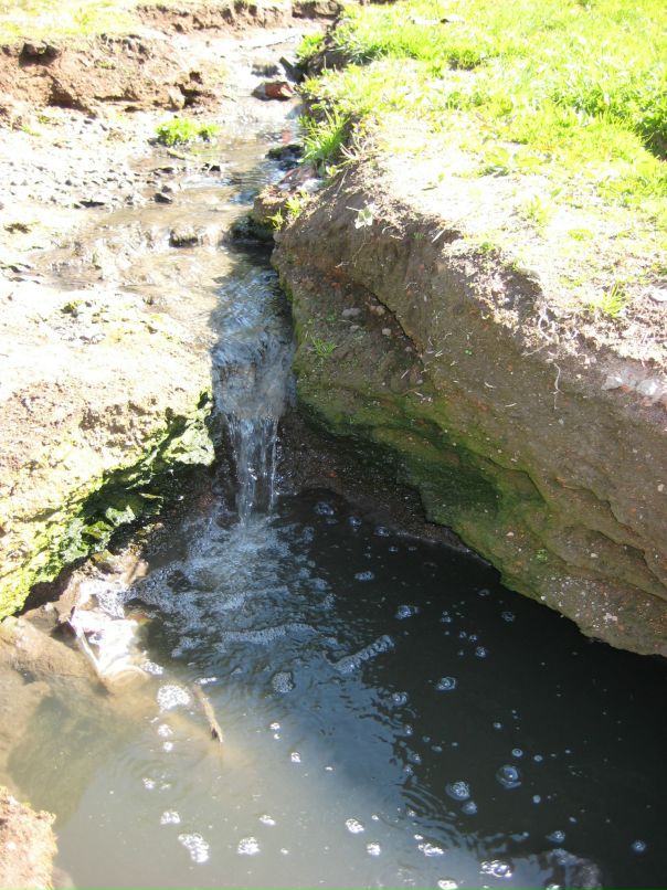 Павел Красавин фотография #41