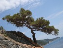 Фотография Булановой Елены