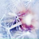 Фотография Сенёв Андрей