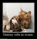 Діма Ловцов фотография #27 (источник - https://vk.com/id29214187)