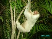 Фотография Громовой Анны