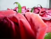 Фотография Манухиной Натальи