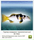 Андрій Орищак фотография #41 (источник - https://vk.com/id43615340)