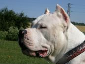 Фотография Сафронова Тимура