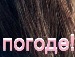 Вікторія Марці фотография #35 (источник - https://vk.com/id151126567)