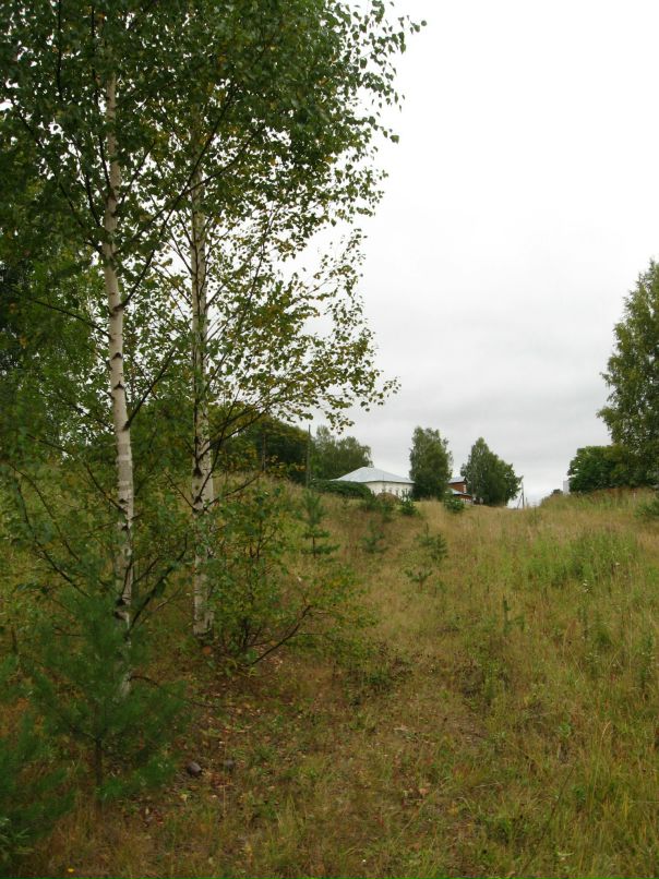 Дарья Дмитриева фотография #48