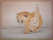 Фотография Стрелковой Юлии