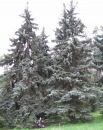 Наталія Пекна фотография #33 (источник - https://vk.com/id93778460)