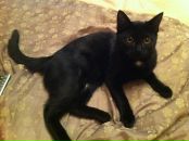 Фотография Бушуевой Кристины